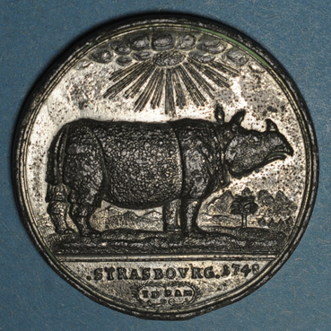 coins-alsace-alsace-strasbourg-le-rhinoceros-a-strasbourg-1748-medaille-etain-39-70mm-gravee-par-j-d-kamm_135803A