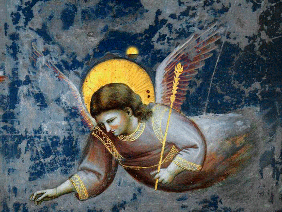 giotto_angel